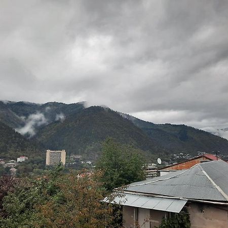 Guest House Bochora Боржоми Экстерьер фото