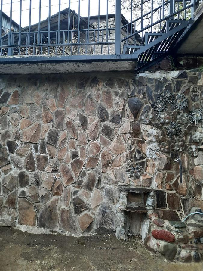 Guest House Bochora Боржоми Экстерьер фото