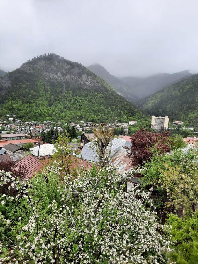Guest House Bochora Боржоми Экстерьер фото