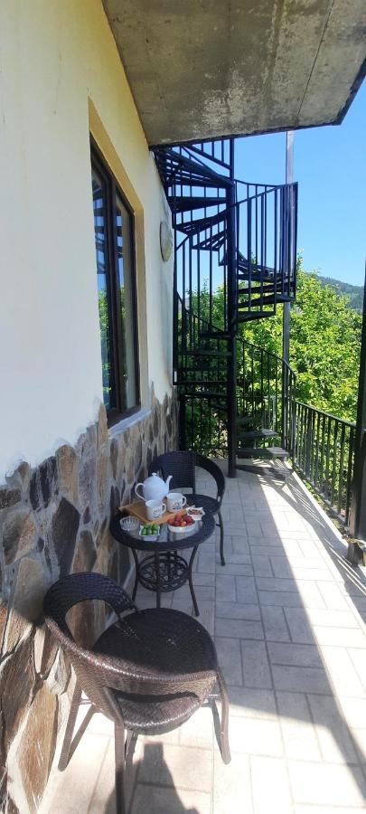 Guest House Bochora Боржоми Экстерьер фото