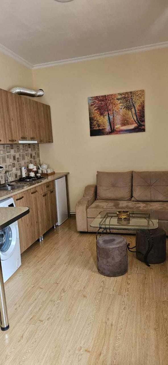 Guest House Bochora Боржоми Экстерьер фото