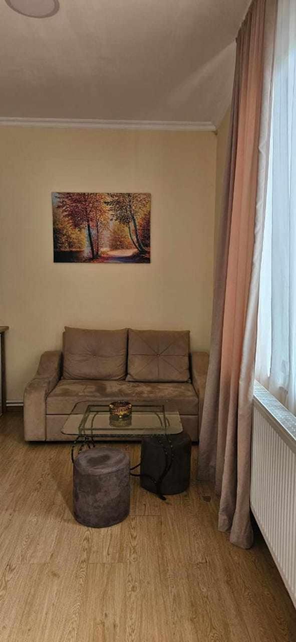 Guest House Bochora Боржоми Экстерьер фото
